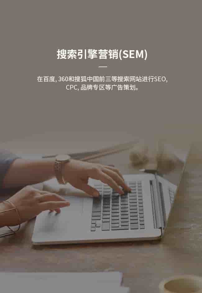 Chinese Search Engine Marketing